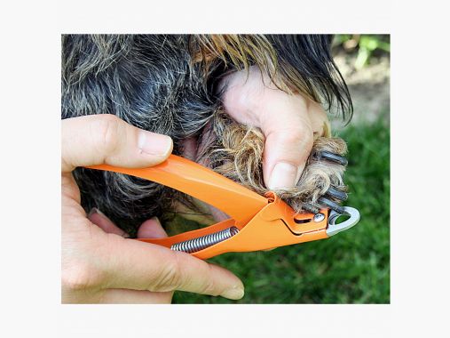 the Lake Passion Claw Pliers |