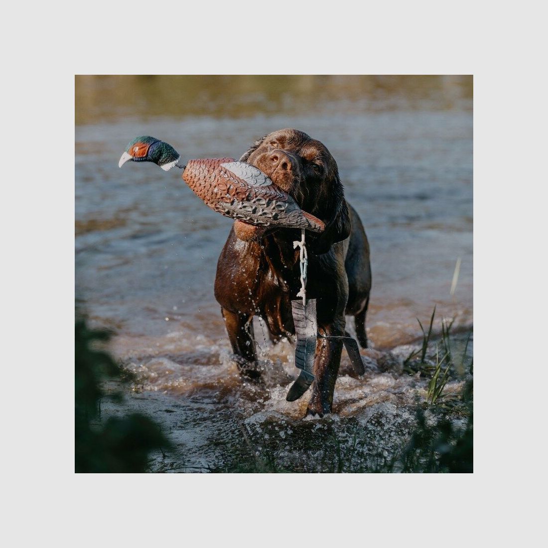 HP&G Apportierdummy Fasan