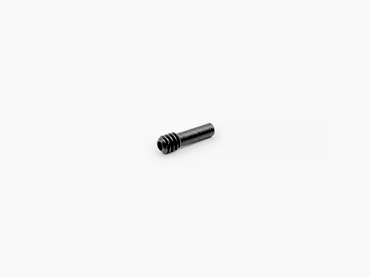 Tornillo de retención de perno JP