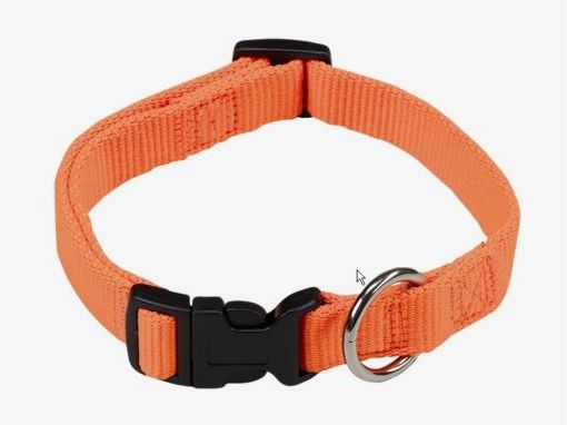 Signalhalsband Neon aus Nylon, verstellbar bis 45cm Halsweite
