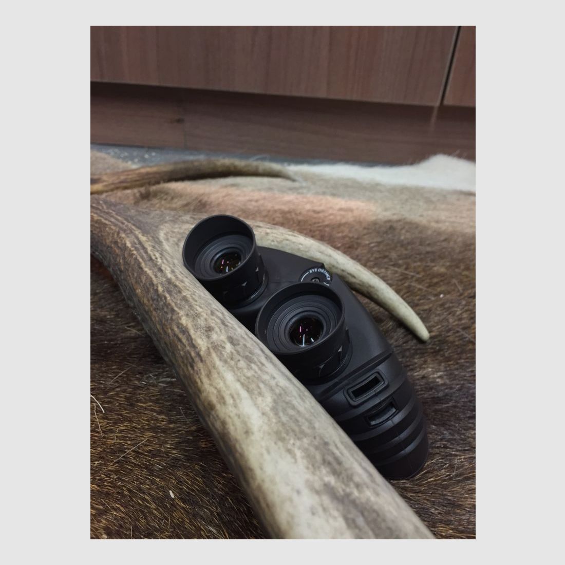 Steiner Safari 8x25 Ultrasharp