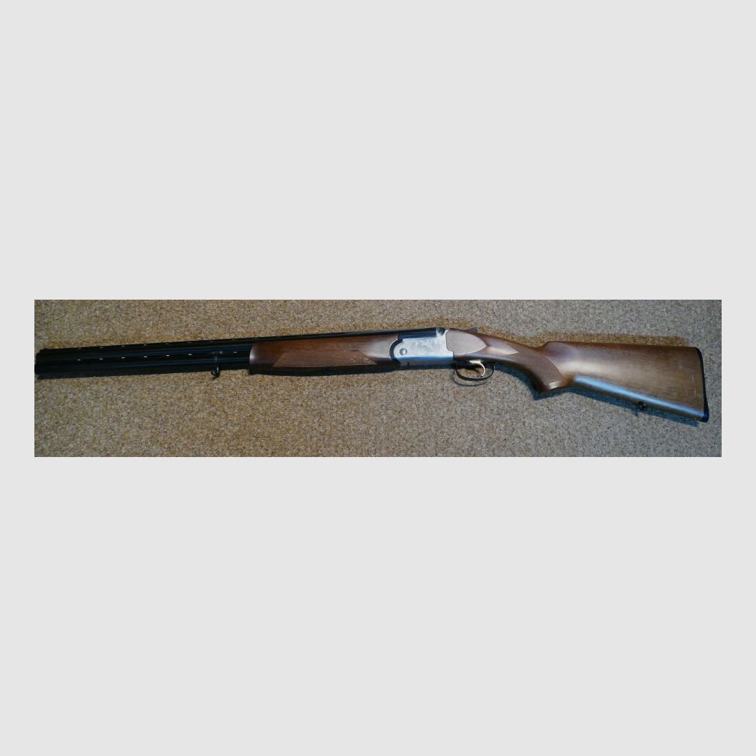 Rizzini Albion