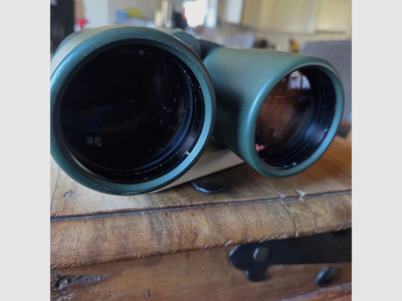 Zeiss Fernglas 10x56 BT P