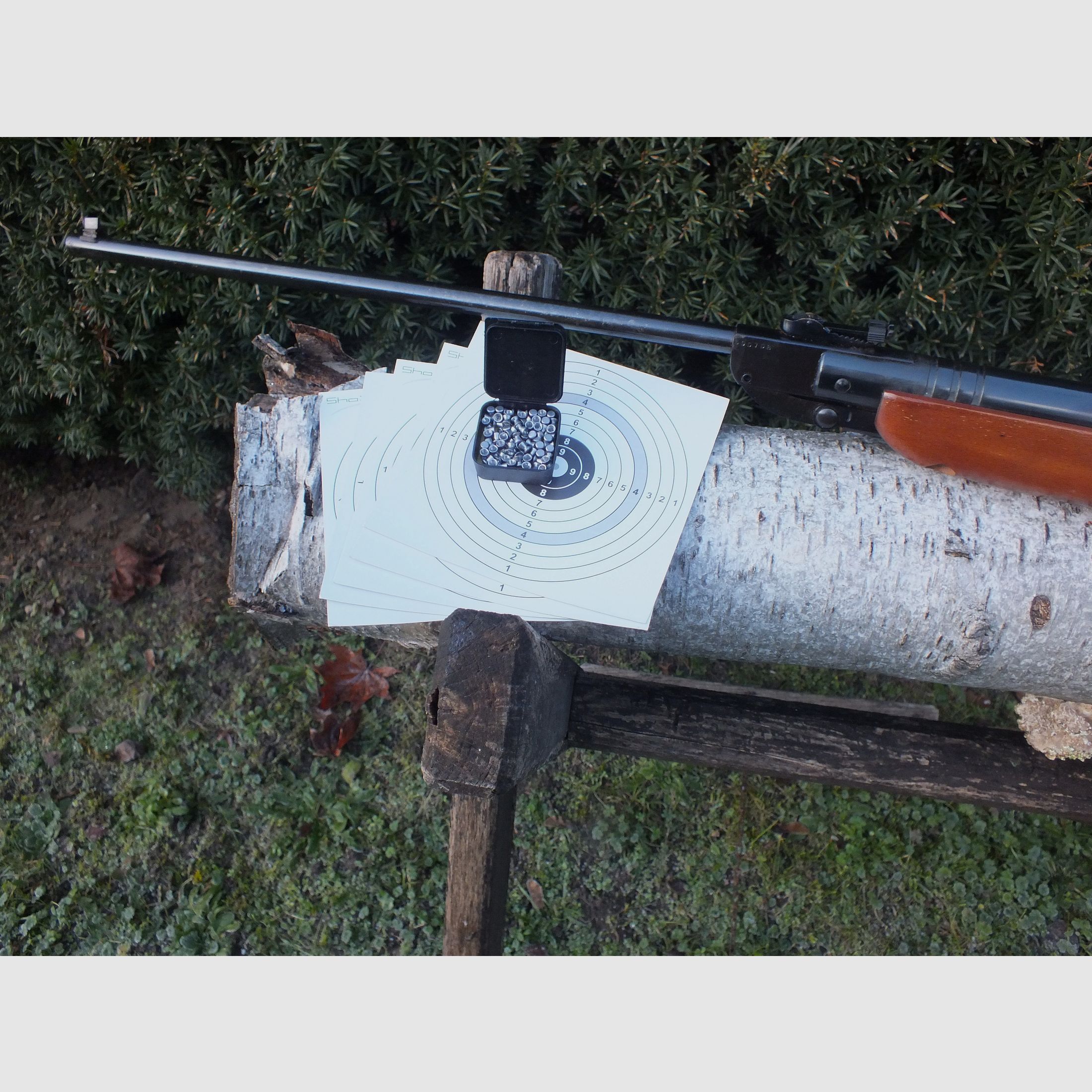 Fucile ad aria compressa Suhler Haenel 303