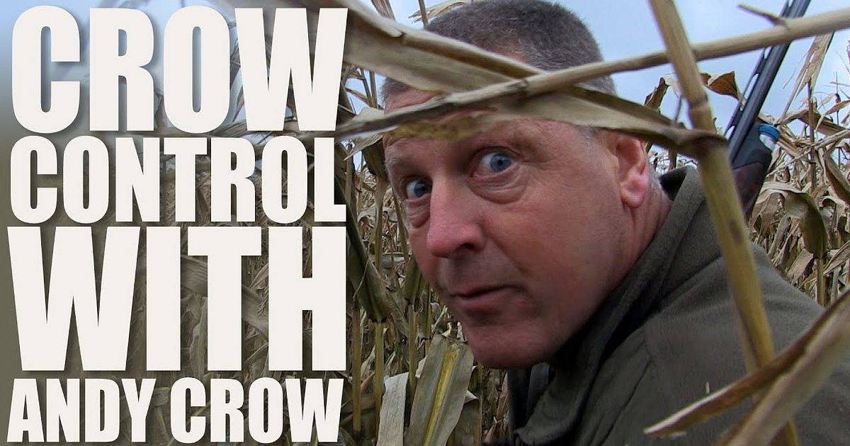 Crow Control with Andy Crow - Crow Control with Andy Crow