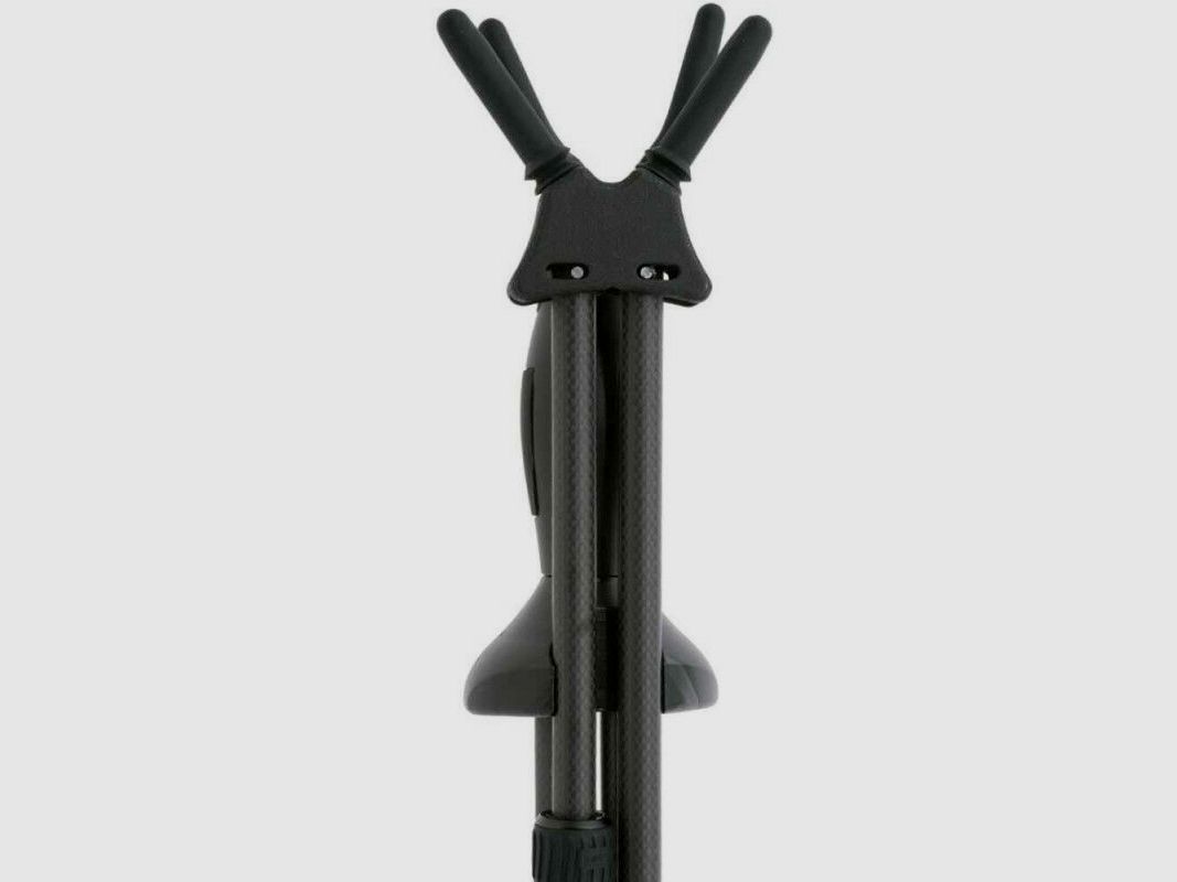 Blaser Carbon Zielstock 2.0