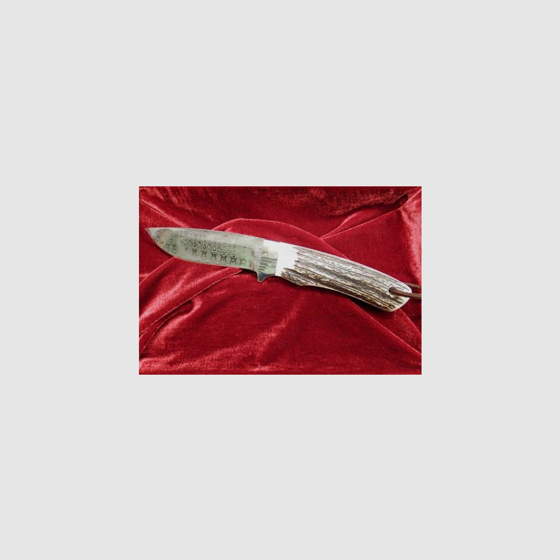 DNC SP5 Hirschhorn Wicker s. Coltello da caccia Damascato