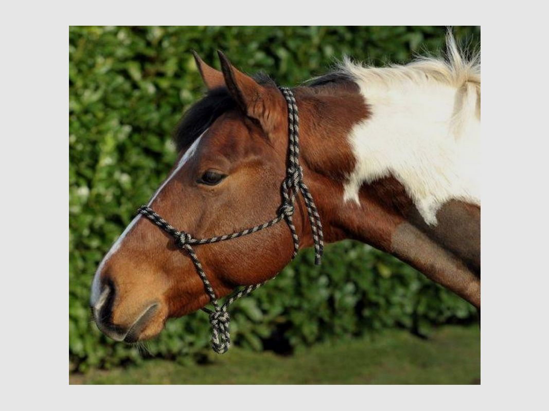 Kopfstück mit Knoten, Bild 1 von 6