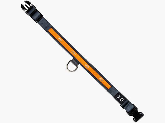 Blaser Lichtgevende LED halsband