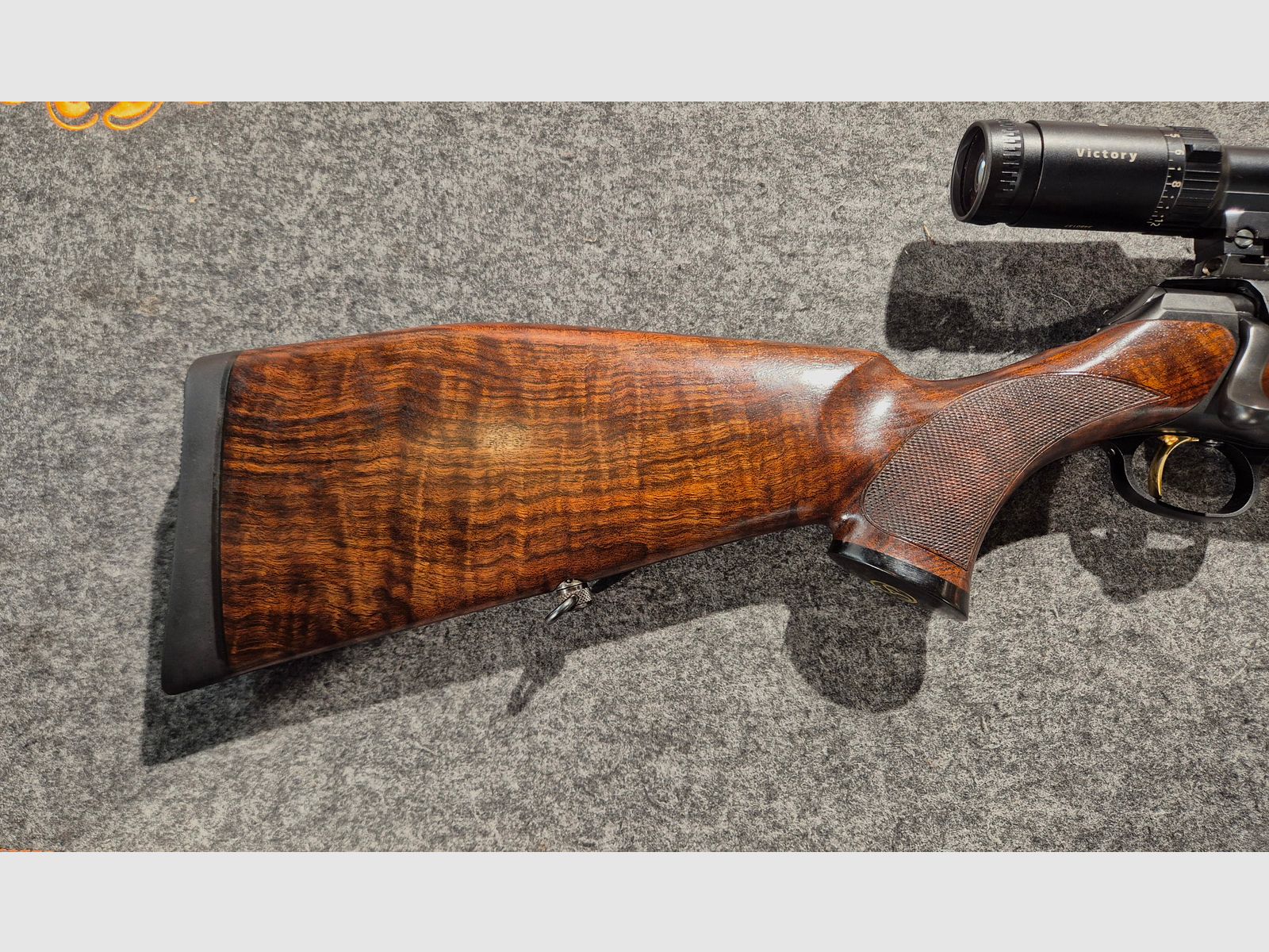 Sauer 202 Forest 
