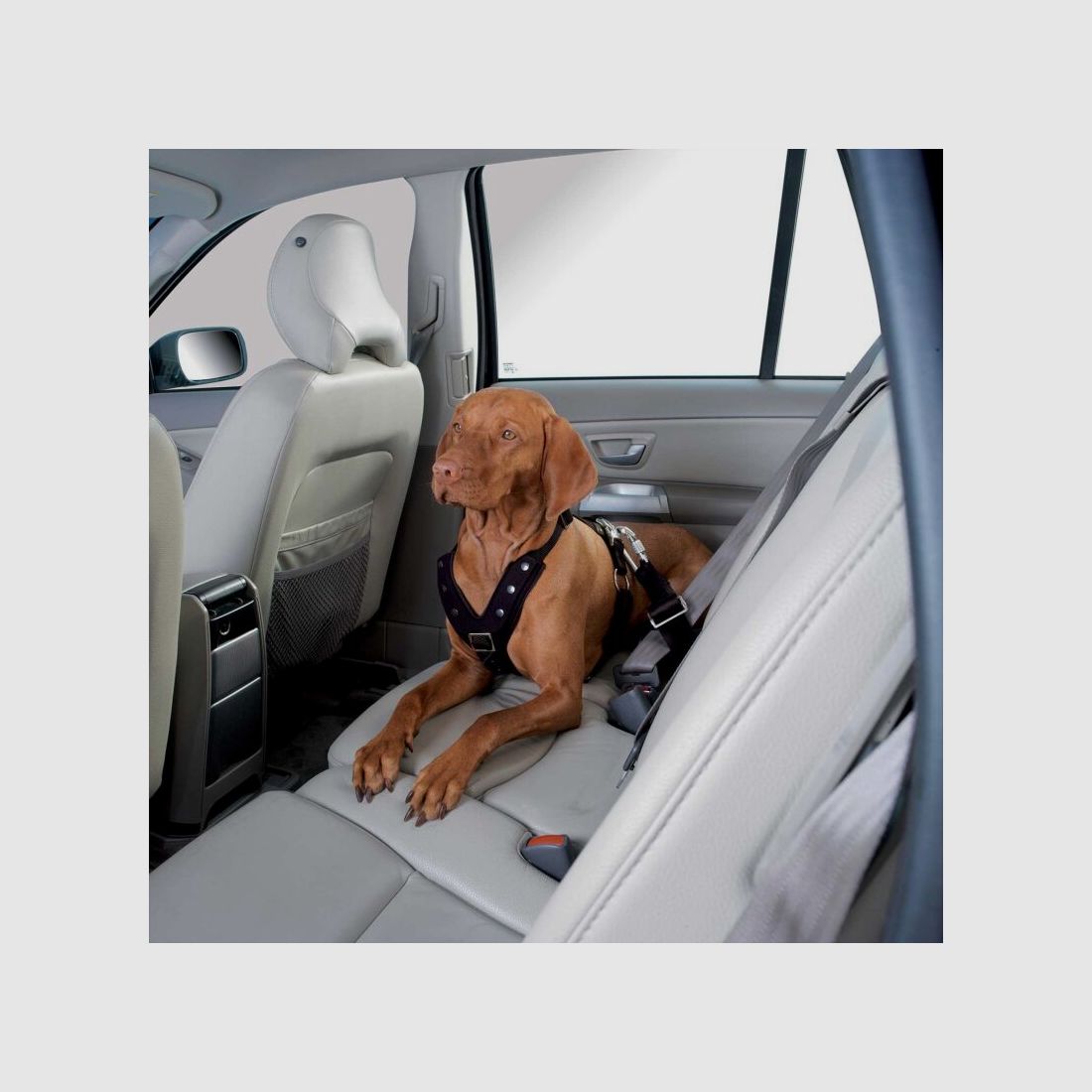 Hunter Autosicherheitsgeschirr Easy Comfort