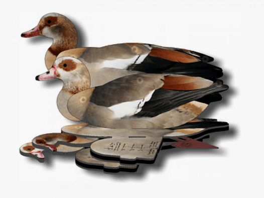 FUD Nilgans 6 Stk. (Fold Up Decoy)