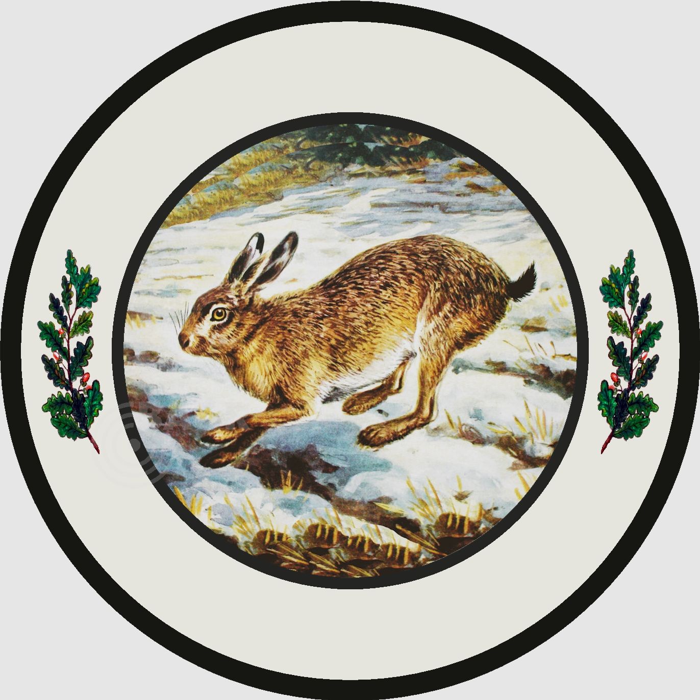 Cible Outdoor-Line Motif 127, image 1 sur 4