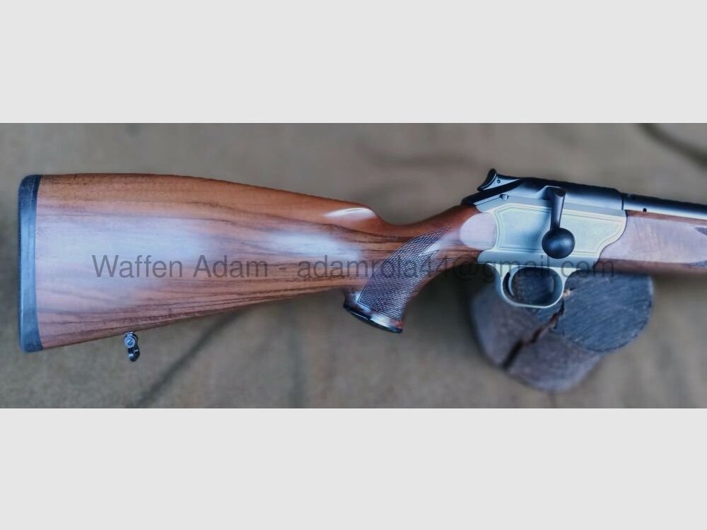 Blaser	 R 93
