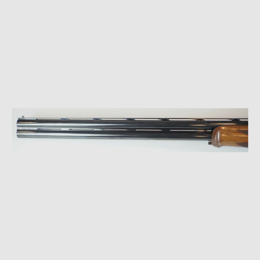 Guerini Temper Sporting