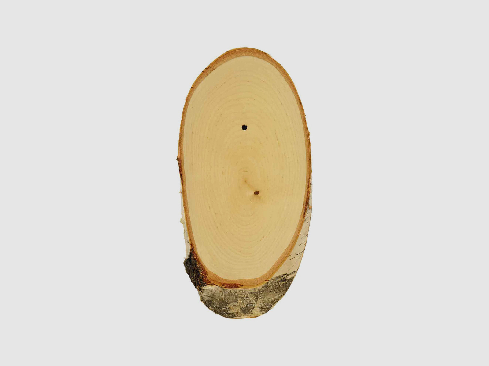 Trophäenschild für Rehbock Birke - 20 x 12 cm
