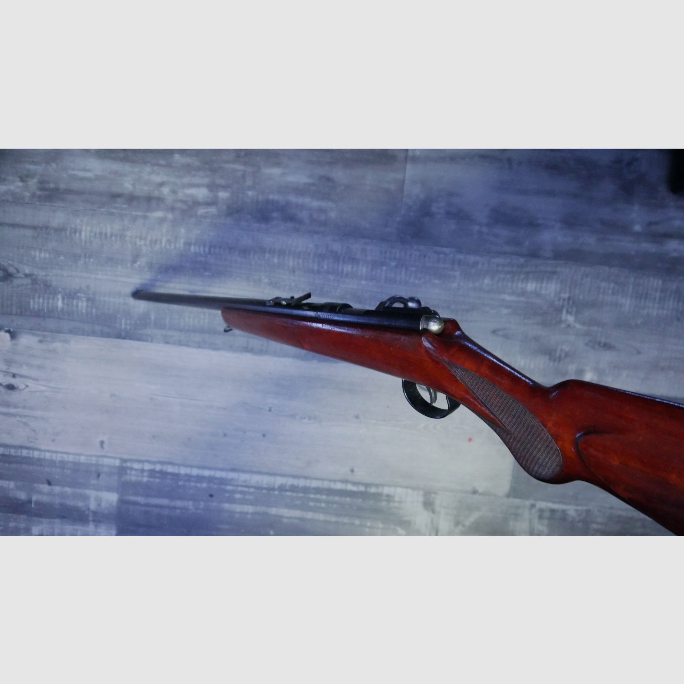 Anschütz single shot .22lr