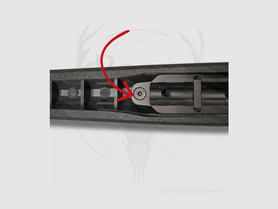 Befestigungsschraube Vorderteil R8 Professional Torx M5x14 BLASER, Bild 2 von 4