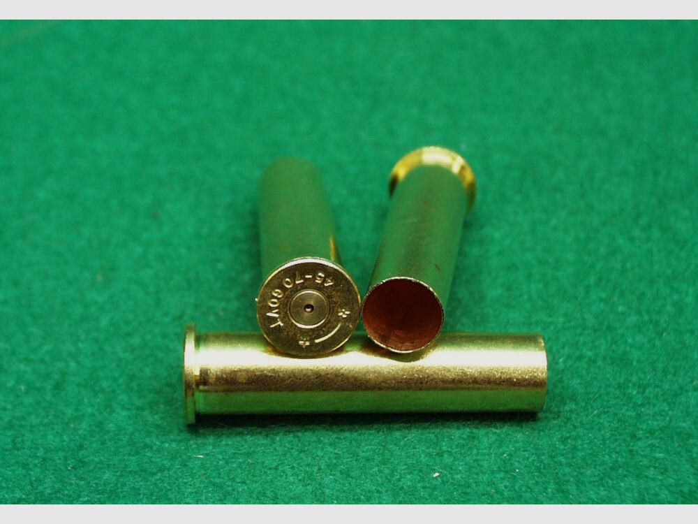 Saguaro Hülsen 45-70