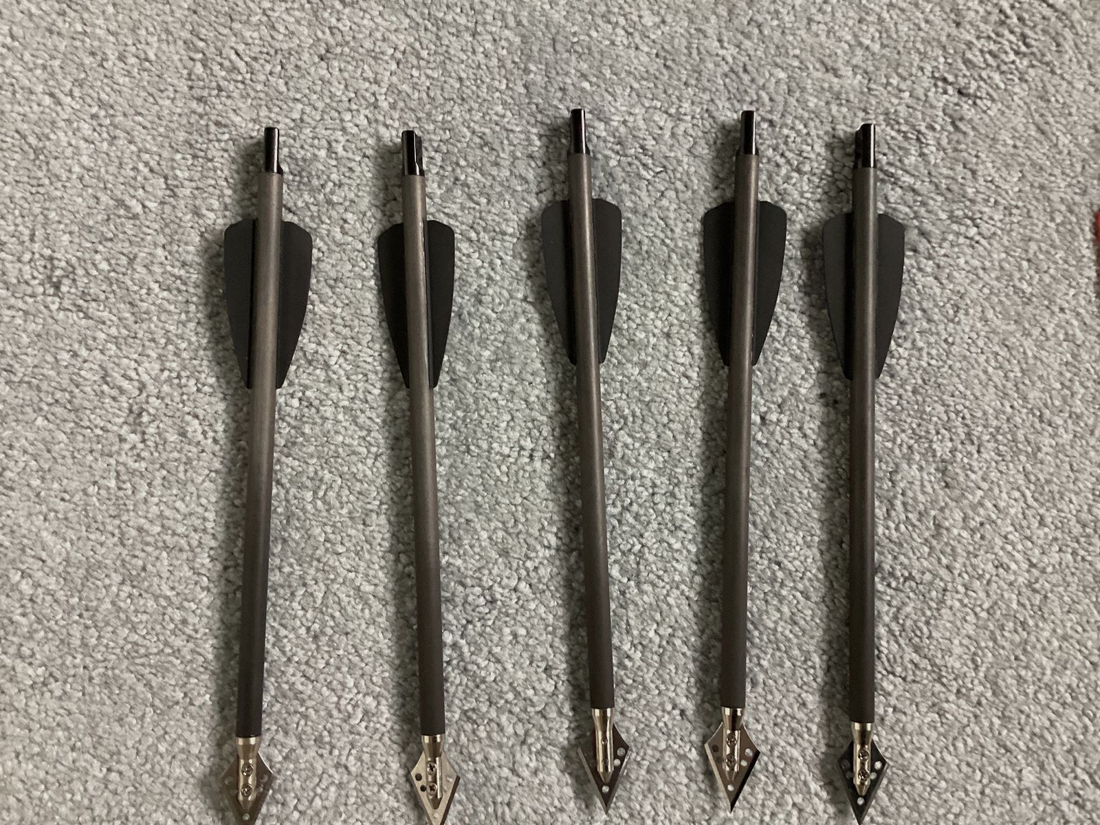 EK Archery Adder Carbonbolzen 7,5 Zoll