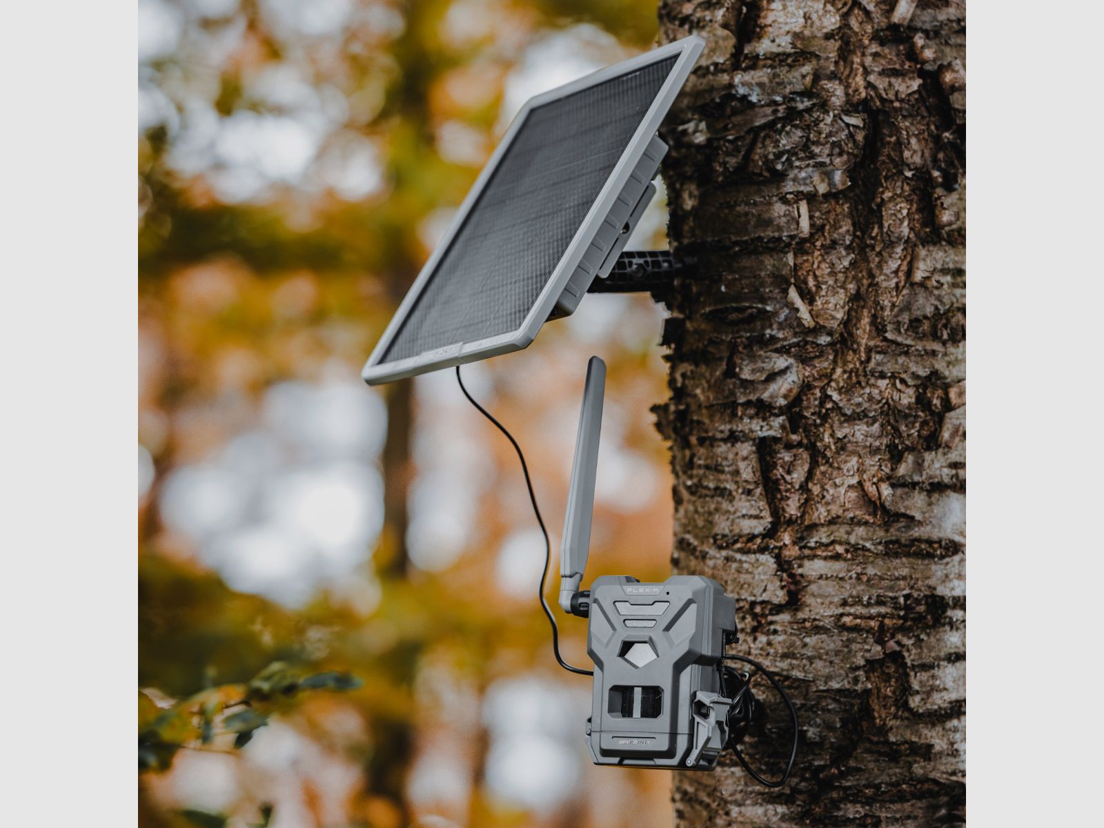 SPYPOINT FLEX-M & SOLAR-22 Bundle/ UN3481/188