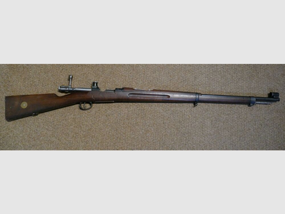 Carl Gustafs M 96