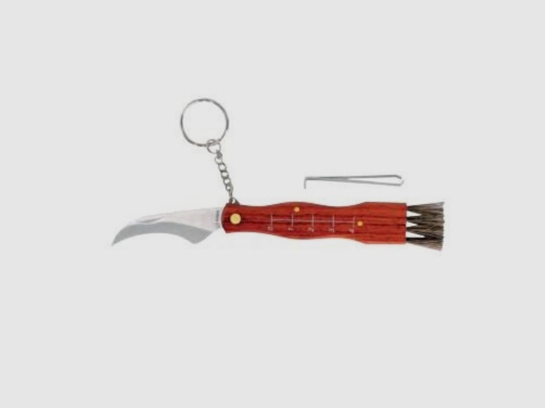Pilzmesser Martinex Albainox