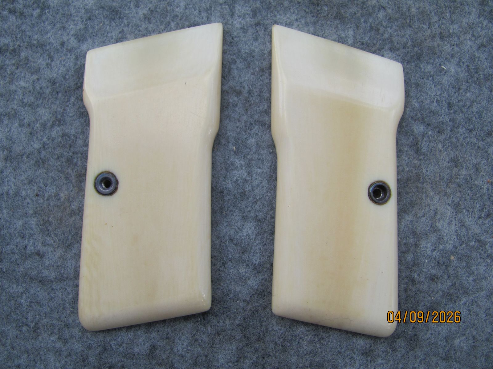 FN 1922 cachas de stock de hueso