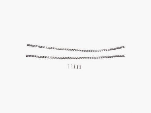 CMMG 22 ARC SPRING KIT