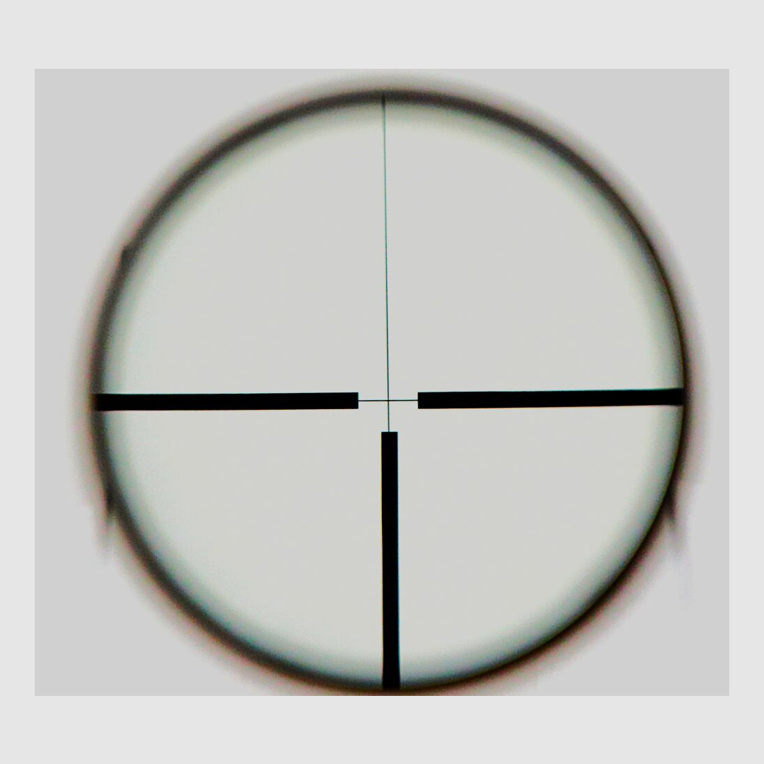 Sauer Weatherby Junior