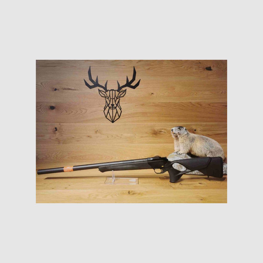 Blaser R8 Ultimate Silence .308Win - 42cm - Integralschaldämpfer - Waffen Schlemmer Ingolstadt