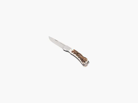 Sauer Klappmesser Hirschhorn