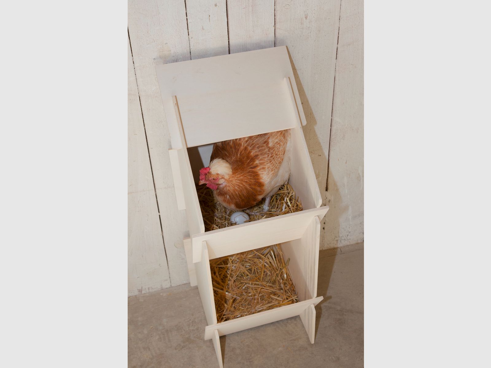 Chicken nesting box made of wood