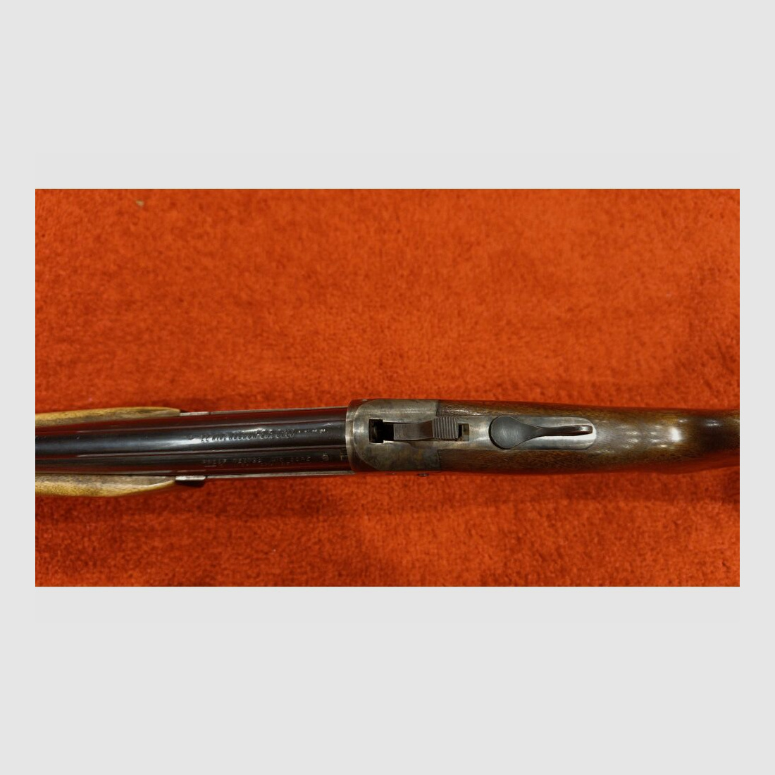 Savage Mod.24 .22WinMag;.410/76