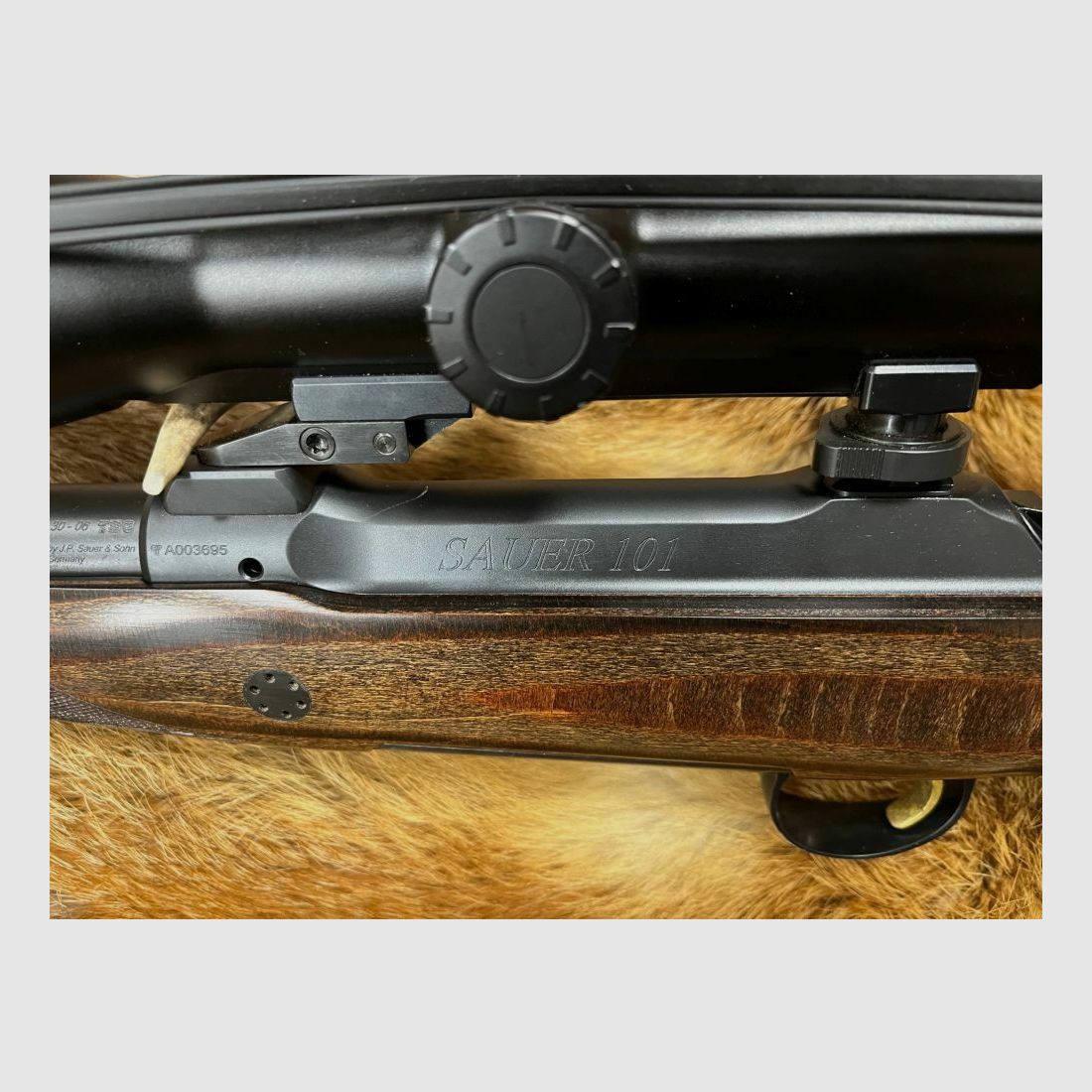 Sauer 101 GTI