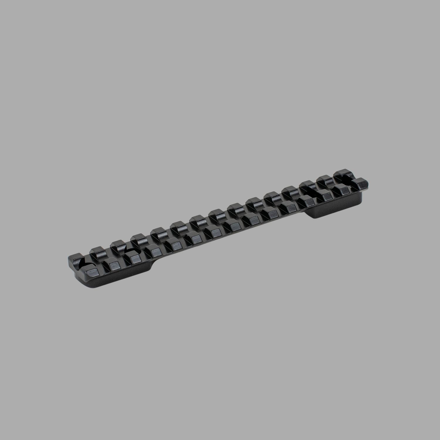 Picatinny Rail SAUER 202 STANDARD