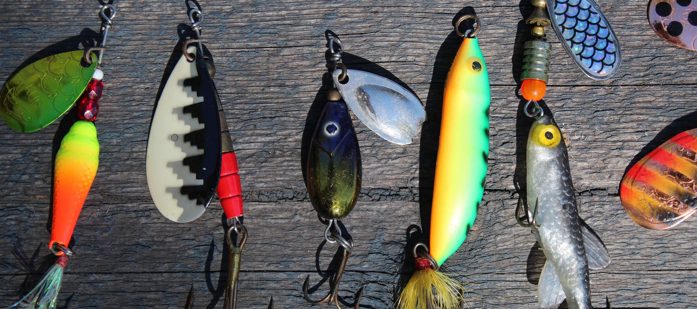 Correct Baiting: How to Lure Fish to Your Bait