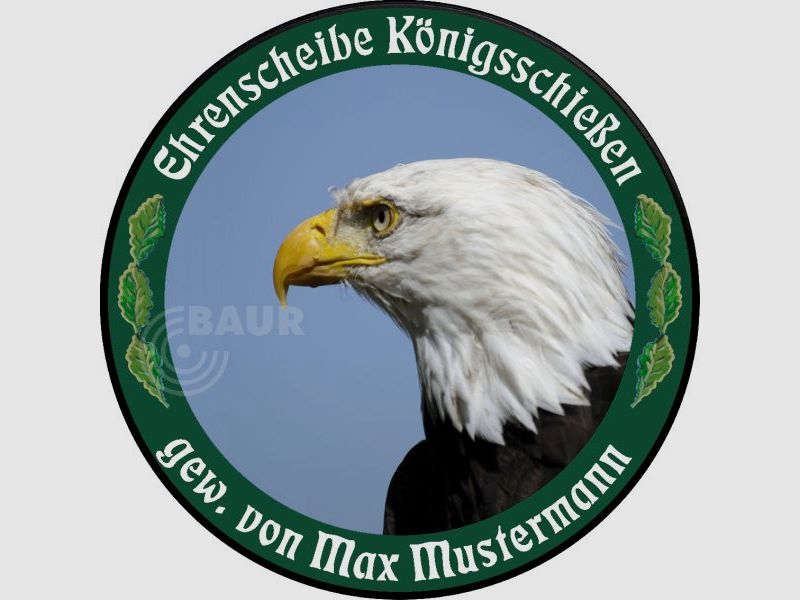Schützenscheibe ECO-LINE Motiv 208