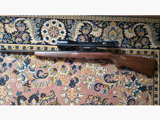 Winchester Model 100 zelfladende geweer .308 Win.