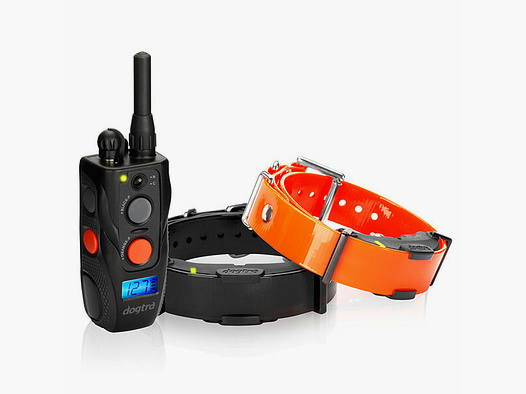 Dogtra ARC 802 FernTrainer