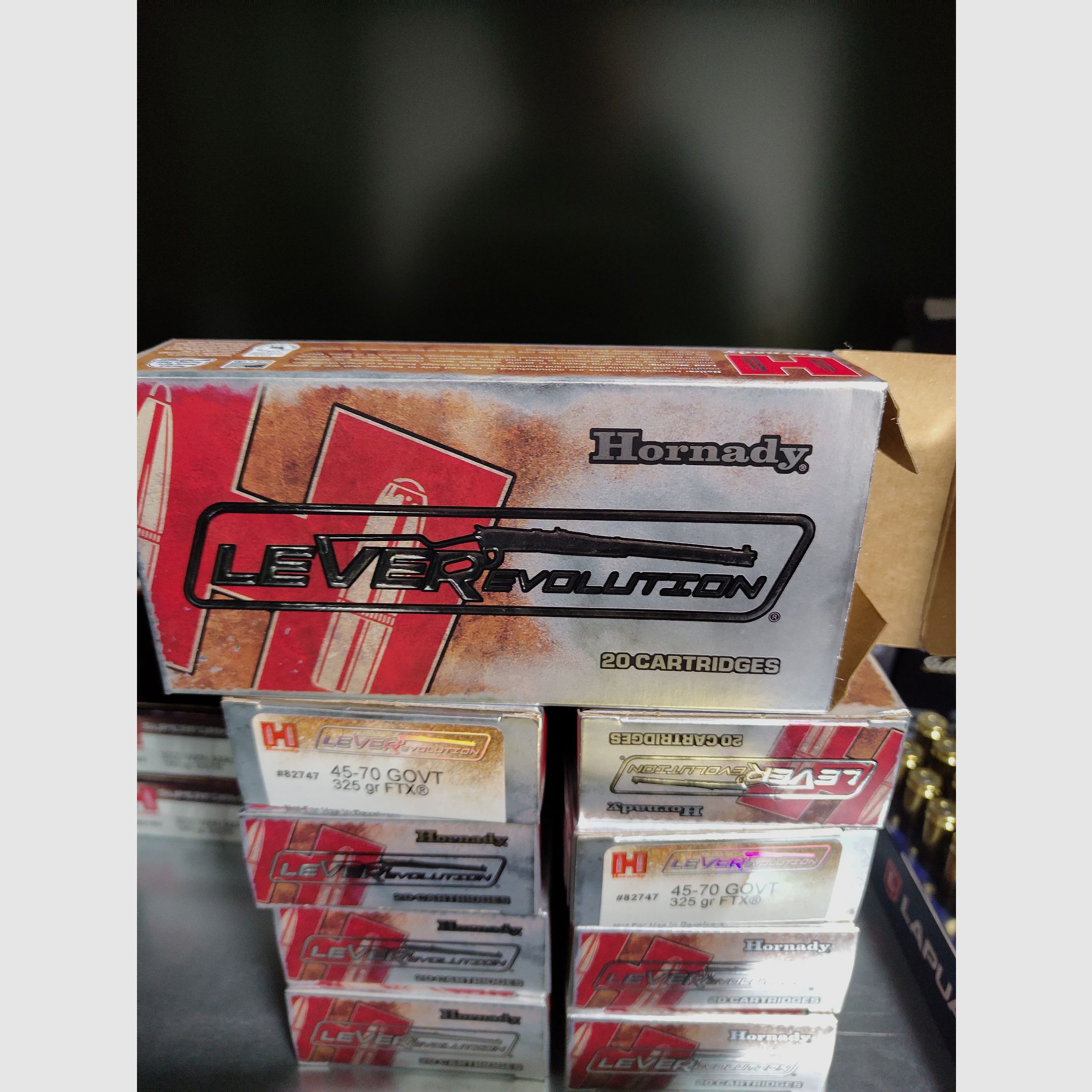 .45-70 Government Hornady LeverRevolution