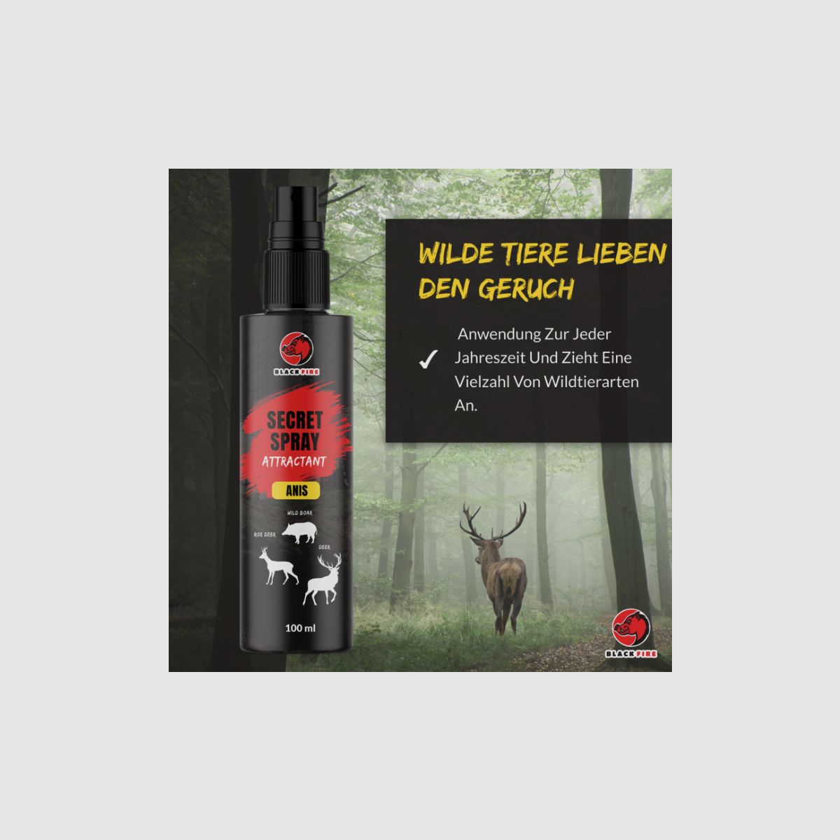 BLACK FIRE Spray ANIS 100ml