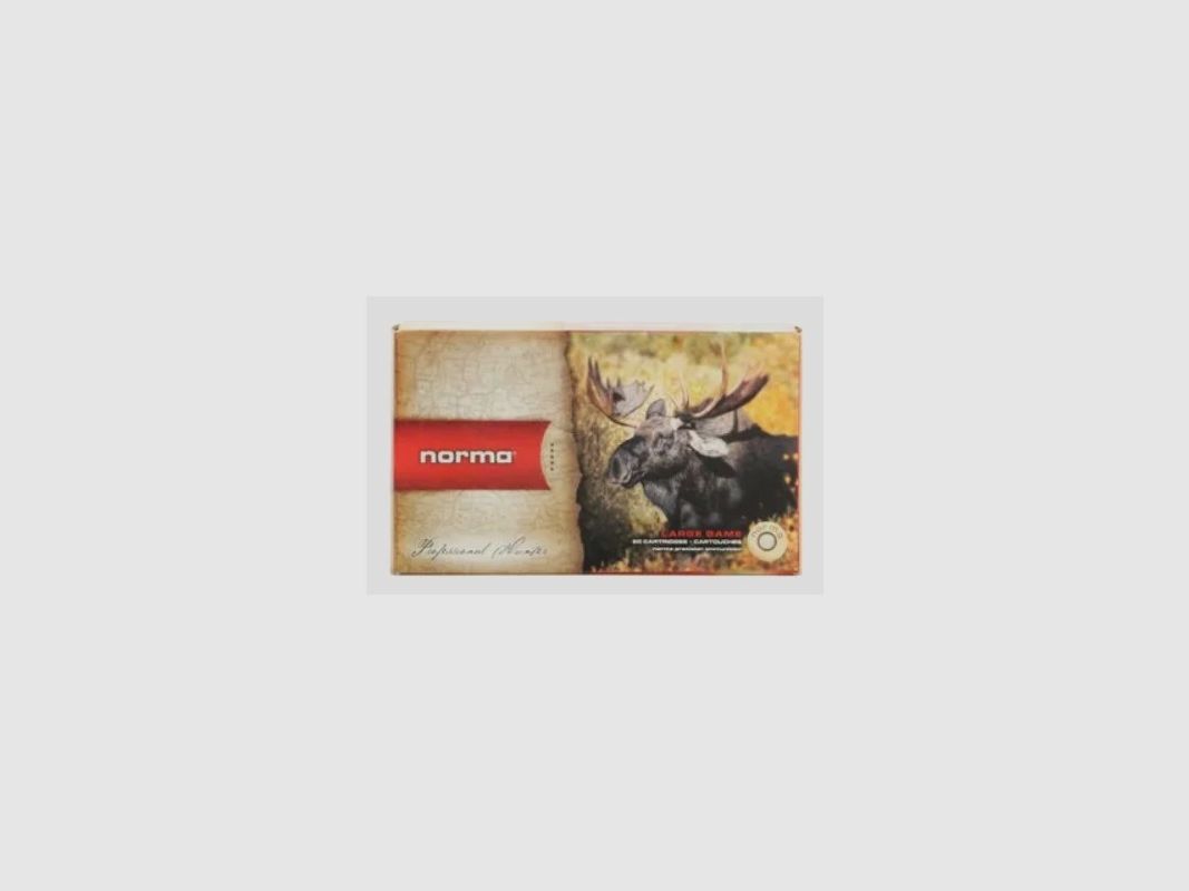 Patronen NORMA - 30-06 Spring Kunststoffspitze - 11,7g / 180gr
