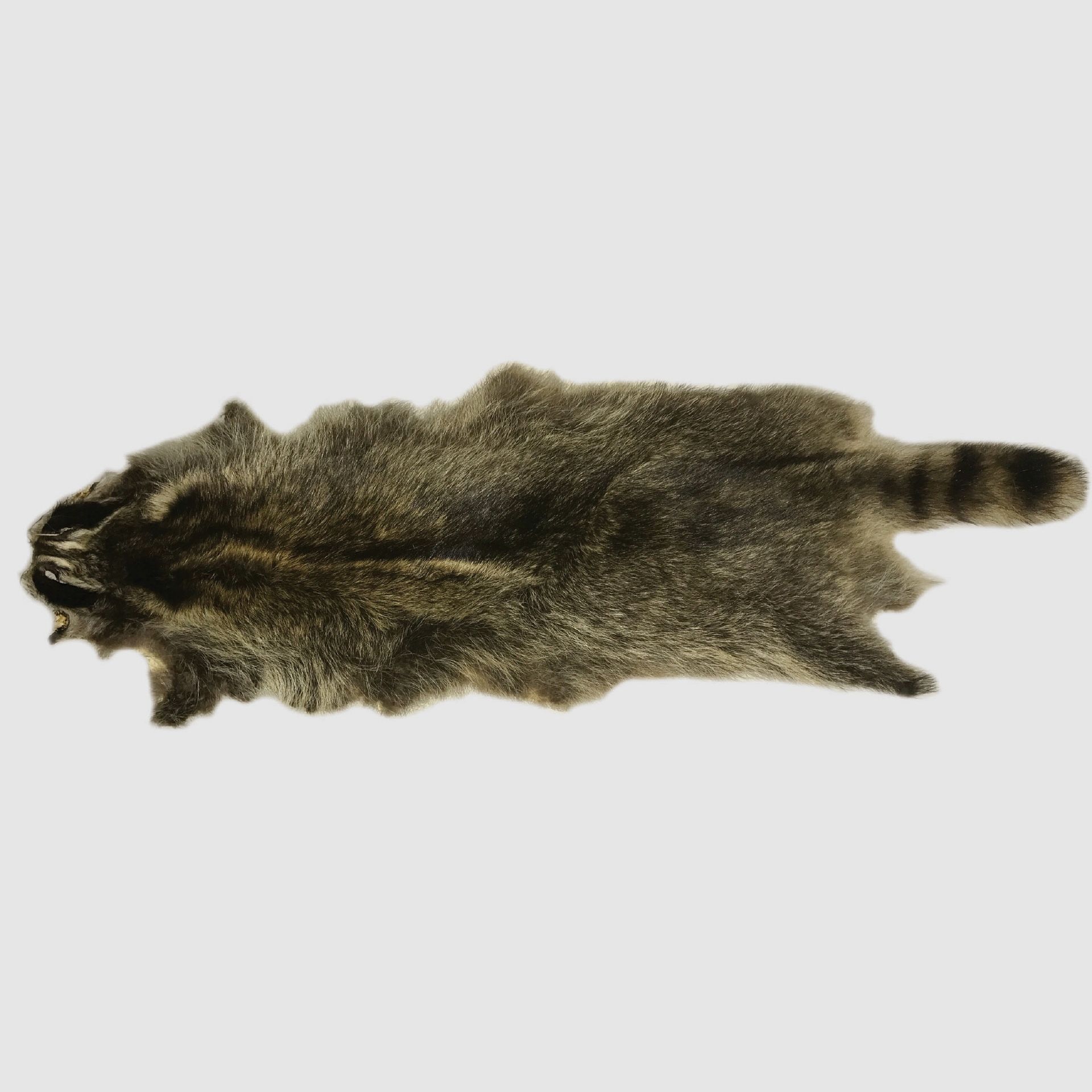 raccoon fur
