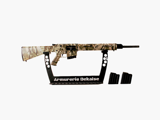 remington R25 308win