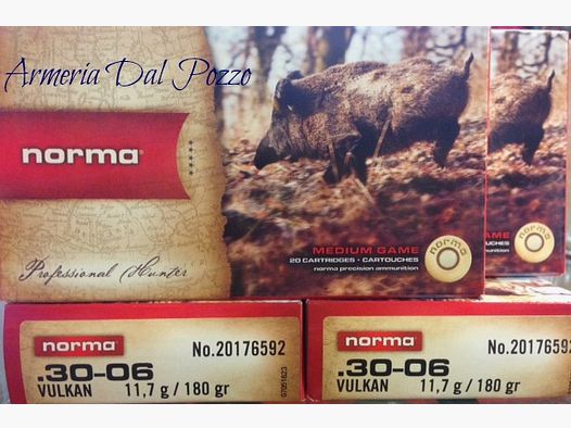 NORMA 30-06 180GR VULKAN