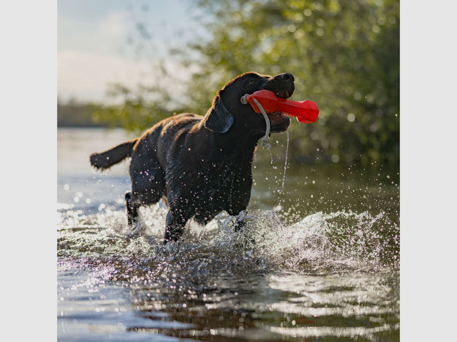 HP&G Apporteur Dummy Balance Bumper 320g Orange