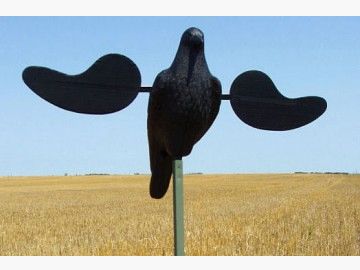 MOJO Outdoors™ Lock Crow