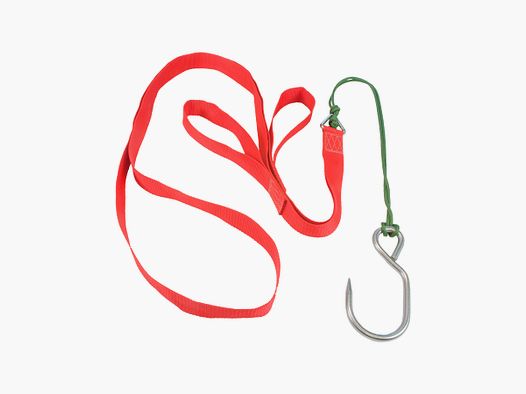 Aiuto al recupero selvatico Big Five