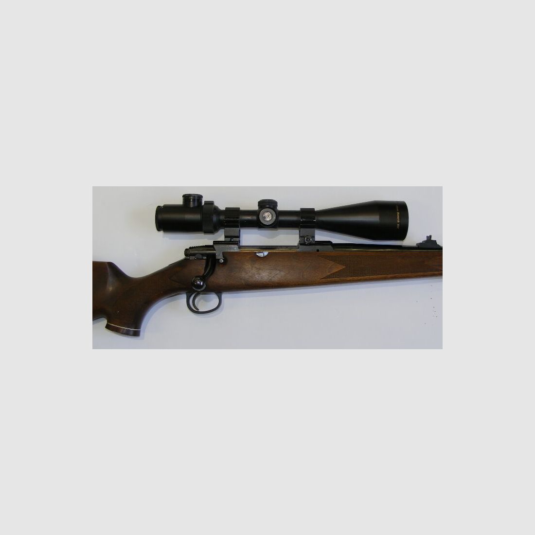 Lakelander Mod 389